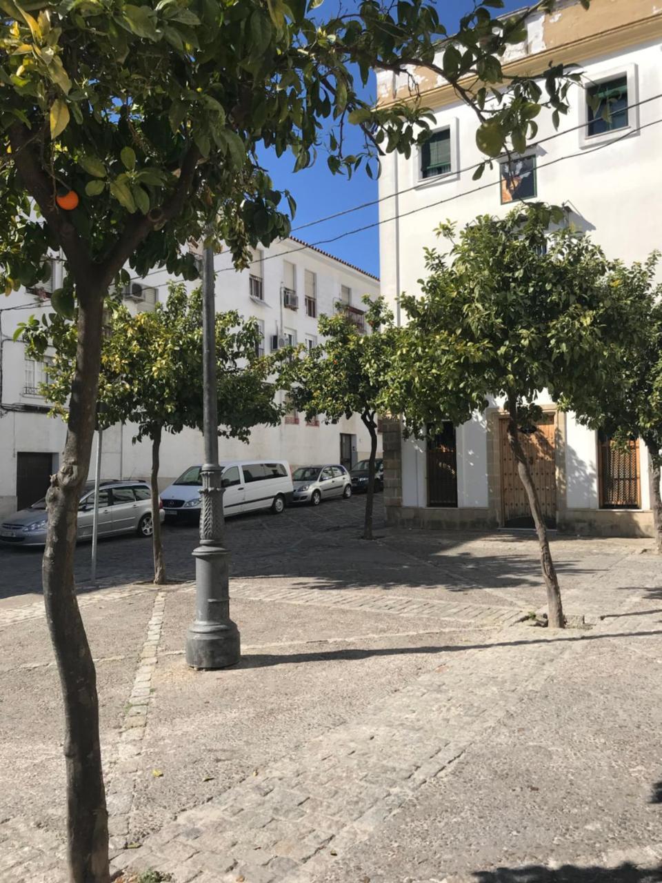 Apartamento !!Vive Jerez!! Jerez de la Frontera Extérieur photo